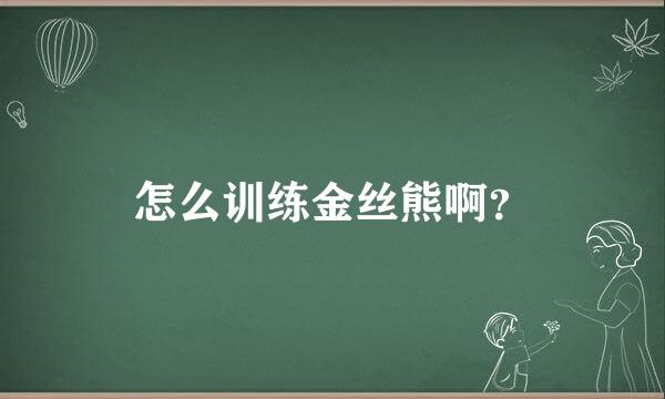 怎么训练金丝熊啊？