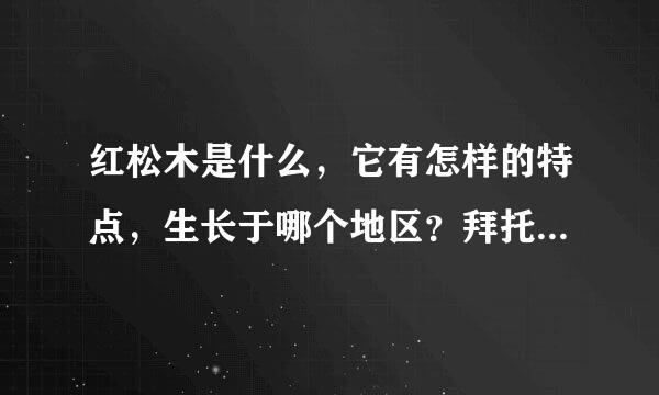 红松木是什么，它有怎样的特点，生长于哪个地区？拜托各位大神