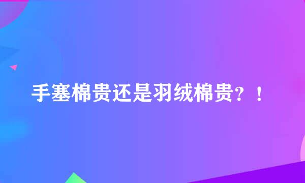 手塞棉贵还是羽绒棉贵？！