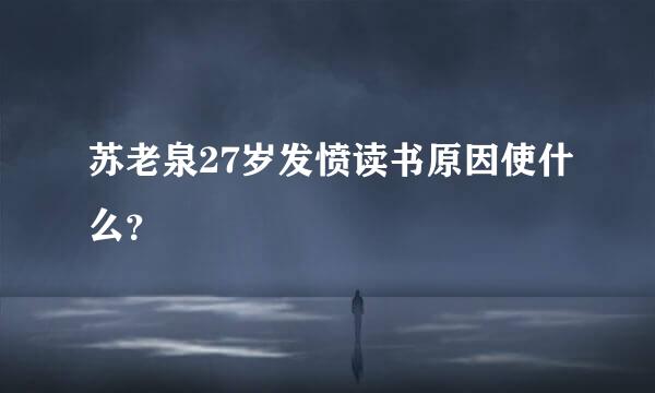 苏老泉27岁发愤读书原因使什么？