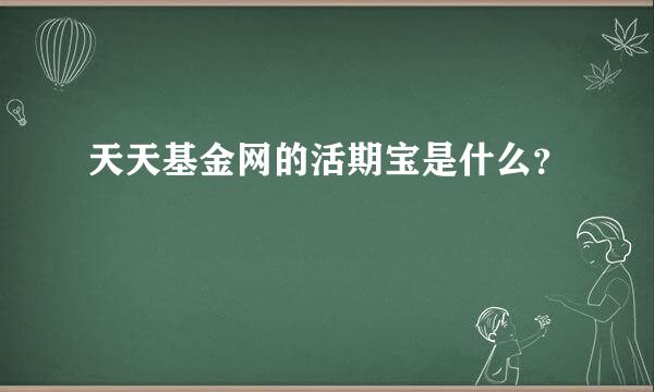 天天基金网的活期宝是什么？