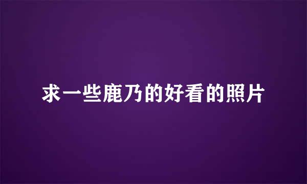 求一些鹿乃的好看的照片