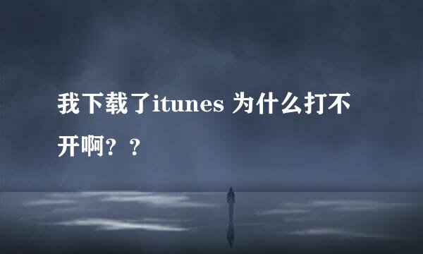 我下载了itunes 为什么打不开啊？？