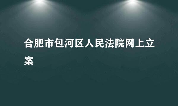 合肥市包河区人民法院网上立案