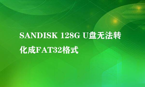 SANDISK 128G U盘无法转化成FAT32格式