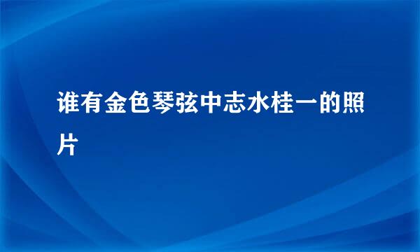 谁有金色琴弦中志水桂一的照片