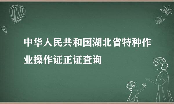 中华人民共和国湖北省特种作业操作证正证查询