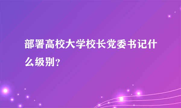 部署高校大学校长党委书记什么级别？