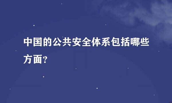 中国的公共安全体系包括哪些方面？