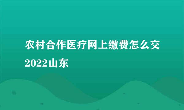 农村合作医疗网上缴费怎么交2022山东