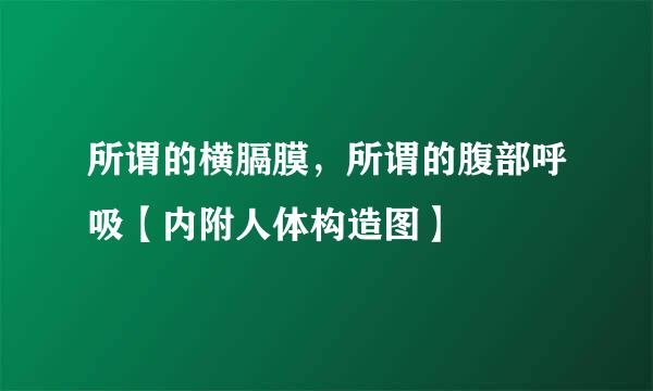 所谓的横膈膜，所谓的腹部呼吸【内附人体构造图】