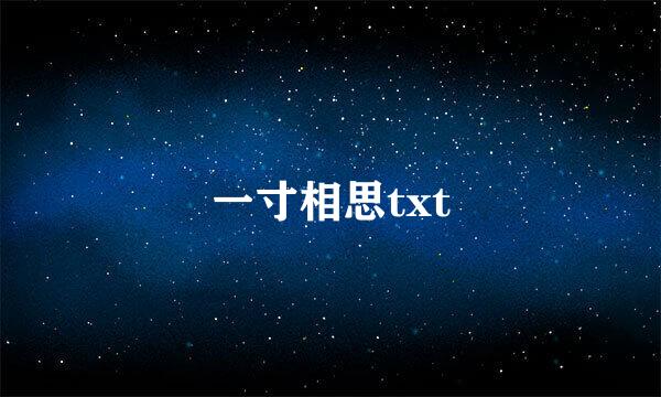 一寸相思txt