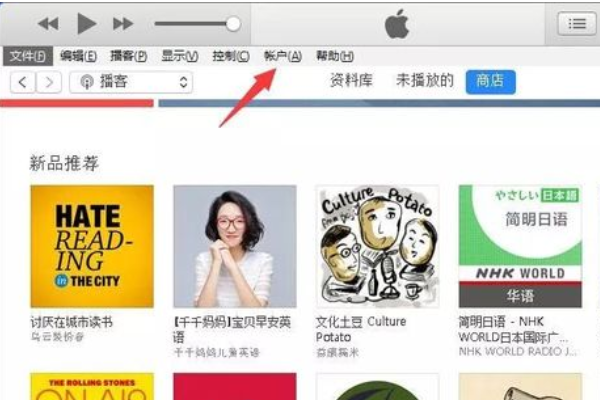 苹果手机app store 怎么退款