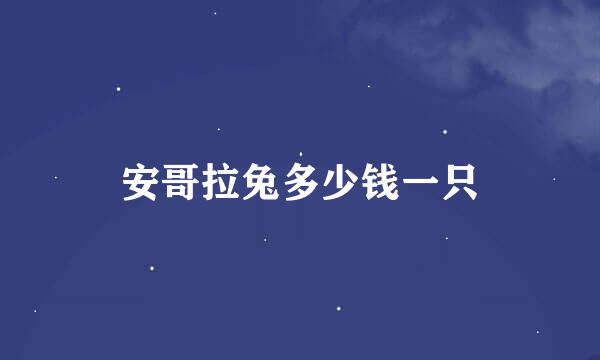 安哥拉兔多少钱一只