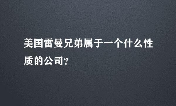 美国雷曼兄弟属于一个什么性质的公司？