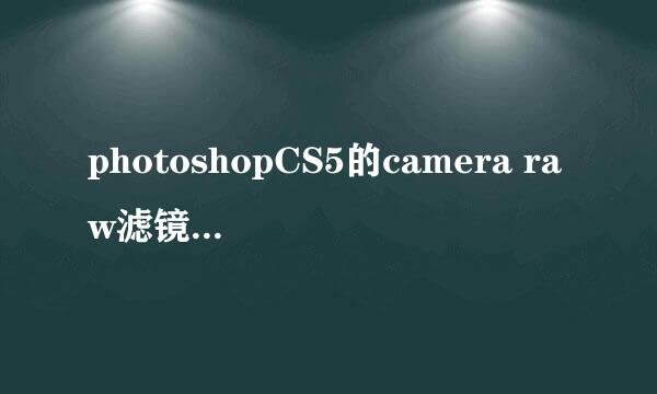 photoshopCS5的camera raw滤镜在哪里！