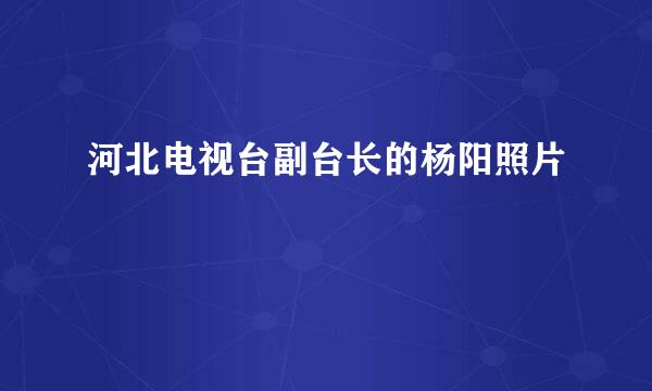 河北电视台副台长的杨阳照片