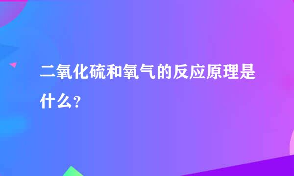 二氧化硫和氧气的反应原理是什么？