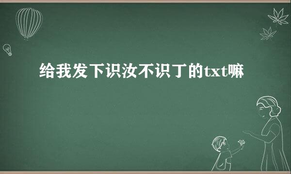 给我发下识汝不识丁的txt嘛