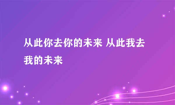 从此你去你的未来 从此我去我的未来