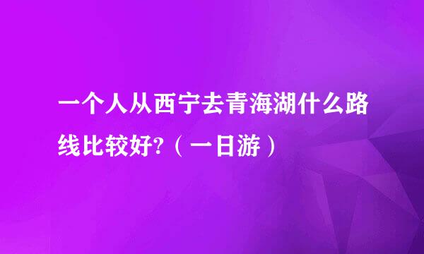 一个人从西宁去青海湖什么路线比较好?（一日游）