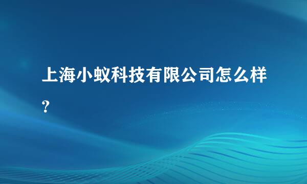 上海小蚁科技有限公司怎么样？