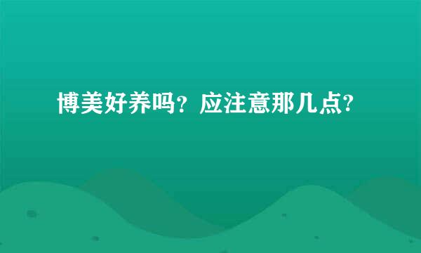 博美好养吗？应注意那几点?