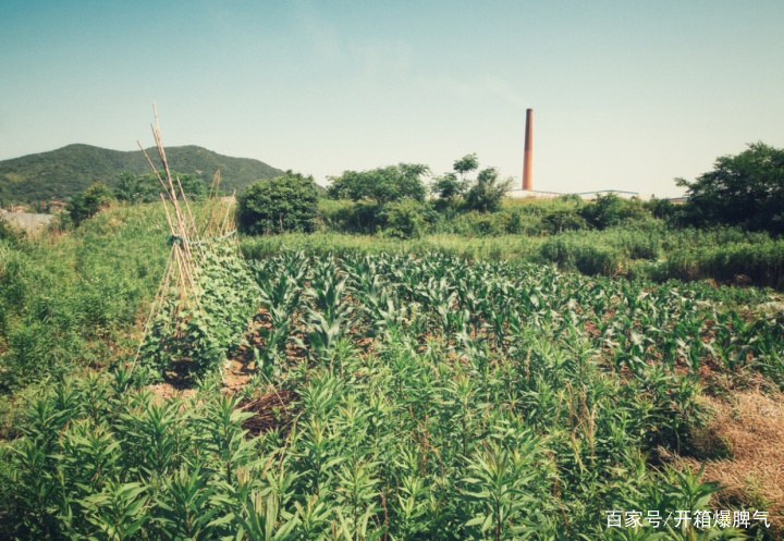 河姆渡遗址，位于现在的哪个地方呢？属于哪个河流？