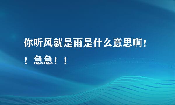 你听风就是雨是什么意思啊！！急急！！