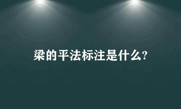 梁的平法标注是什么?