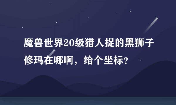 魔兽世界20级猎人捉的黑狮子修玛在哪啊，给个坐标？