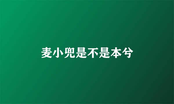 麦小兜是不是本兮