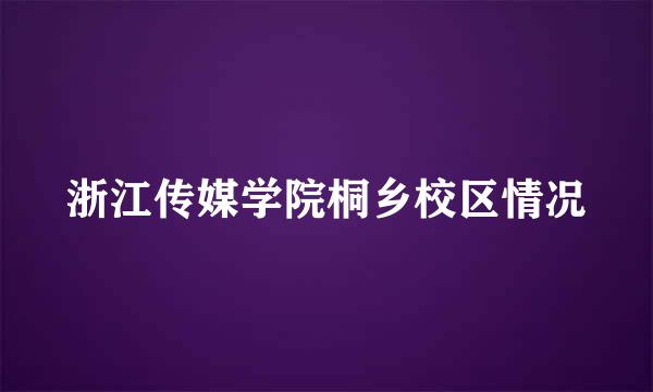 浙江传媒学院桐乡校区情况