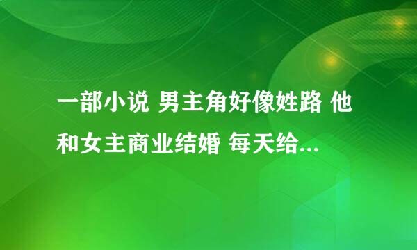 一部小说 男主角好像姓路 他和女主商业结婚 每天给女主的牛奶里都有避