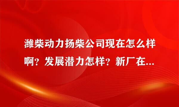 潍柴动力扬柴公司现在怎么样啊？发展潜力怎样？新厂在扬州开发区什么路上？谢谢