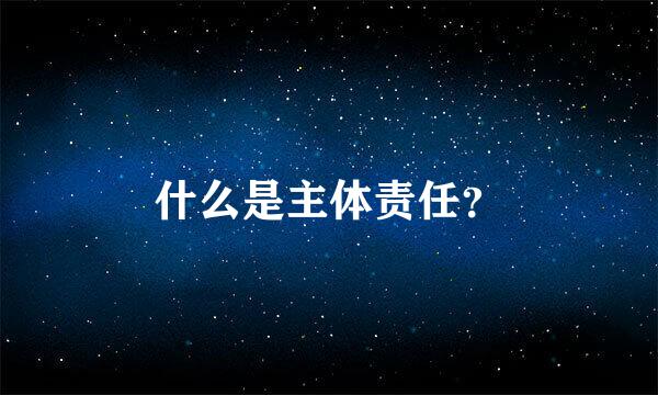 什么是主体责任？