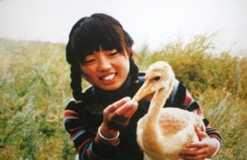 有谁知道讲述一位小女孩救一只丹顶鹤而牺牲的歌曲的名字？