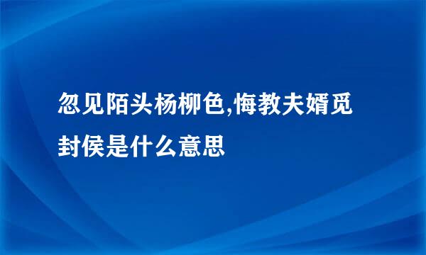 忽见陌头杨柳色,悔教夫婿觅封侯是什么意思