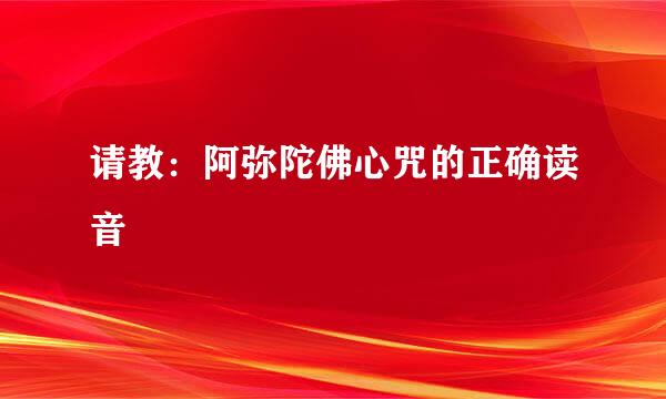 请教：阿弥陀佛心咒的正确读音