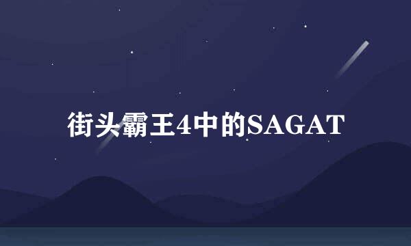 街头霸王4中的SAGAT