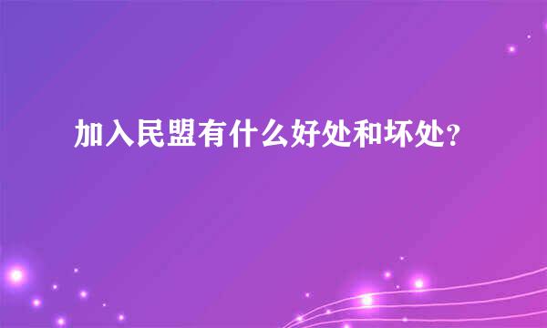 加入民盟有什么好处和坏处？