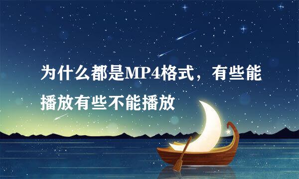 为什么都是MP4格式，有些能播放有些不能播放