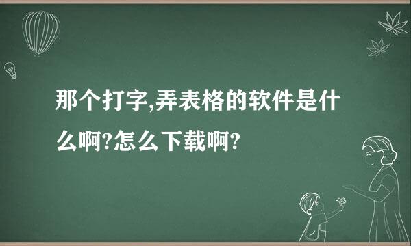 那个打字,弄表格的软件是什么啊?怎么下载啊?