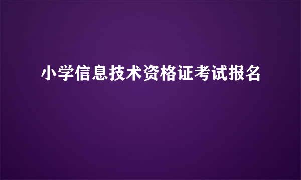 小学信息技术资格证考试报名