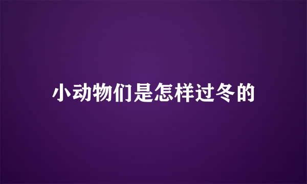 小动物们是怎样过冬的