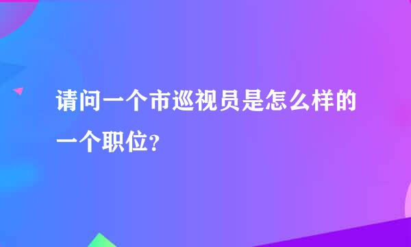 请问一个市巡视员是怎么样的一个职位？