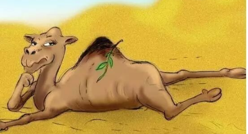“压死骆驼的最后一根稻草”表达的是什么意思？