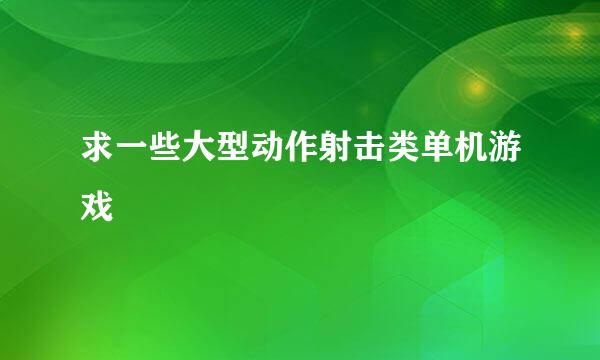 求一些大型动作射击类单机游戏