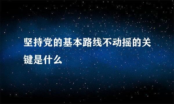 坚持党的基本路线不动摇的关键是什么