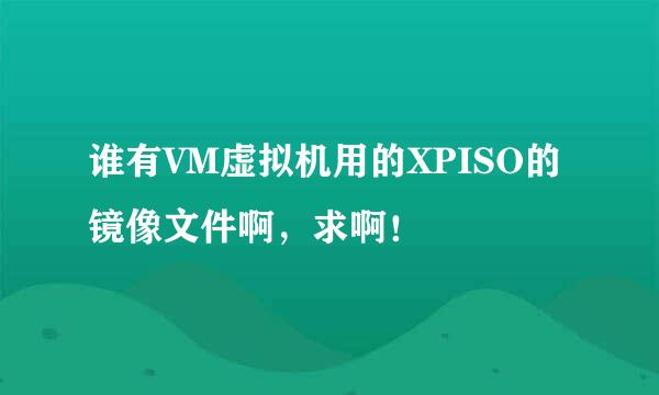 谁有VM虚拟机用的XPISO的镜像文件啊，求啊！